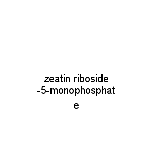 zeatin riboside-5-monophosphate